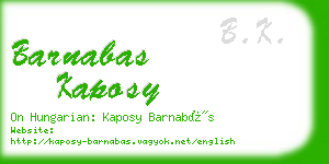 barnabas kaposy business card